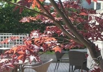 Hotel Villa Fiorita Hotel Milano Marittima